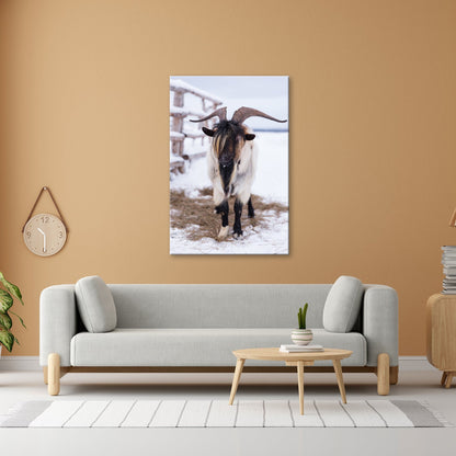 Leinwandbild Schneebedeckte Eleganz – Ziege mit majestätischer Mähne. - deyoli