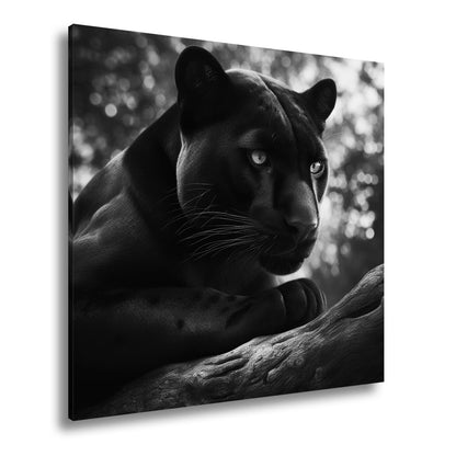 Leinwandbild Schwarze Pantherkraft, gebündelte Eleganz im Schatten. - deyoli