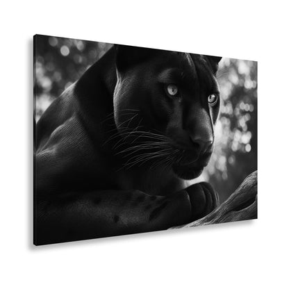 Leinwandbild Schwarze Pantherkraft, gebündelte Eleganz im Schatten. - deyoli