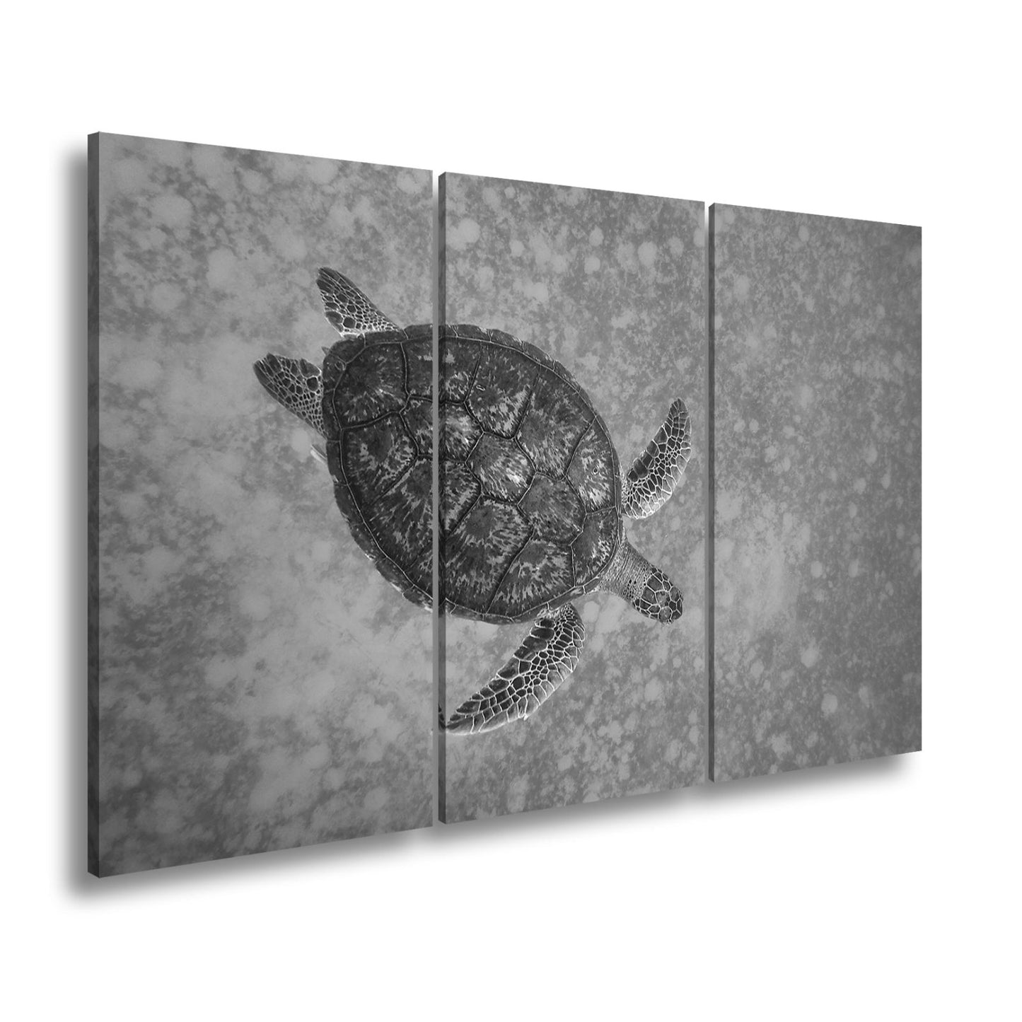 Leinwandbild Schwebend gleitet sie durch die Tiefe des blauen Ozeans. - deyoli