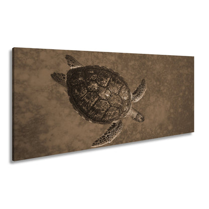 Leinwandbild Schwebend gleitet sie durch die Tiefe des blauen Ozeans. - deyoli