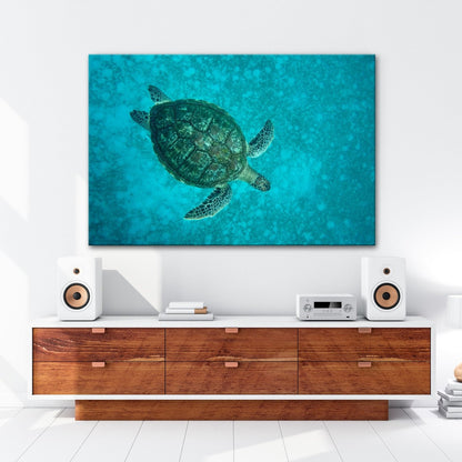 Leinwandbild Schwebend gleitet sie durch die Tiefe des blauen Ozeans. - deyoli