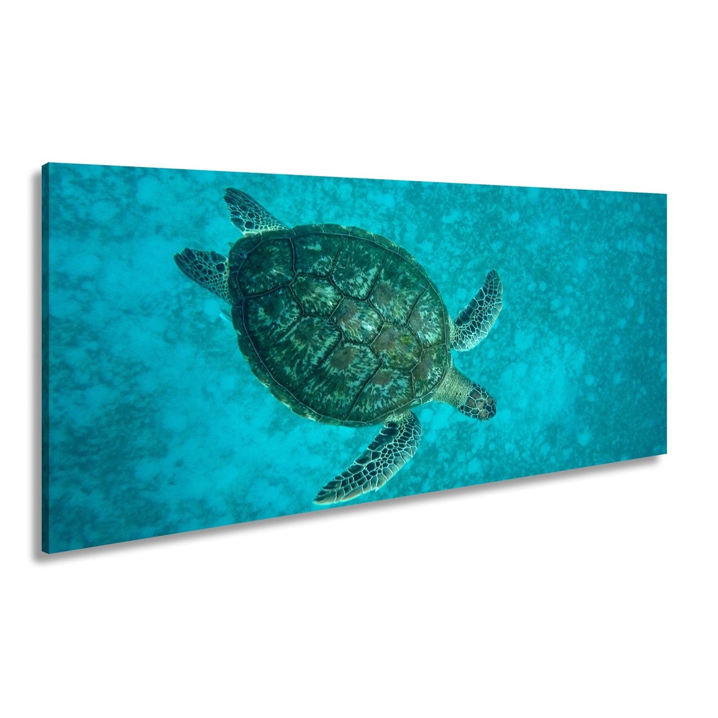 Leinwandbild Schwebend gleitet sie durch die Tiefe des blauen Ozeans. - deyoli