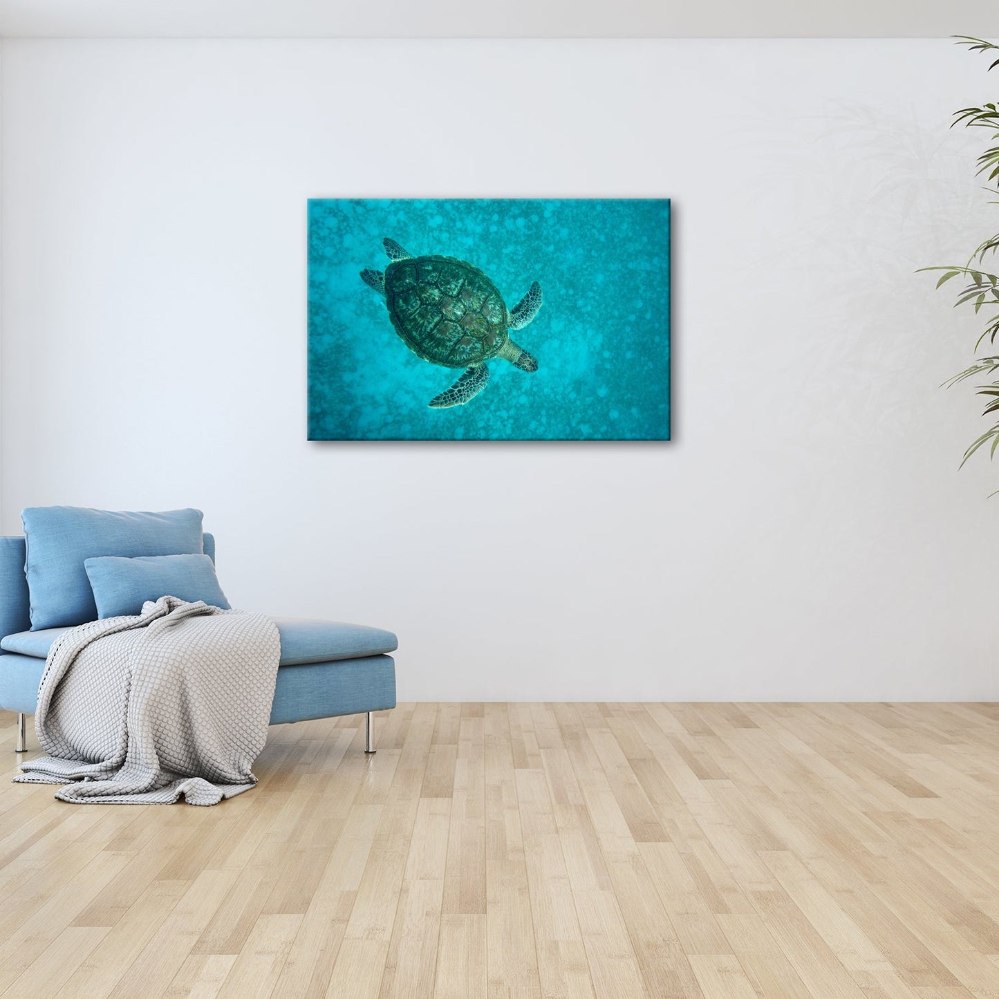 Leinwandbild Schwebend gleitet sie durch die Tiefe des blauen Ozeans. - deyoli