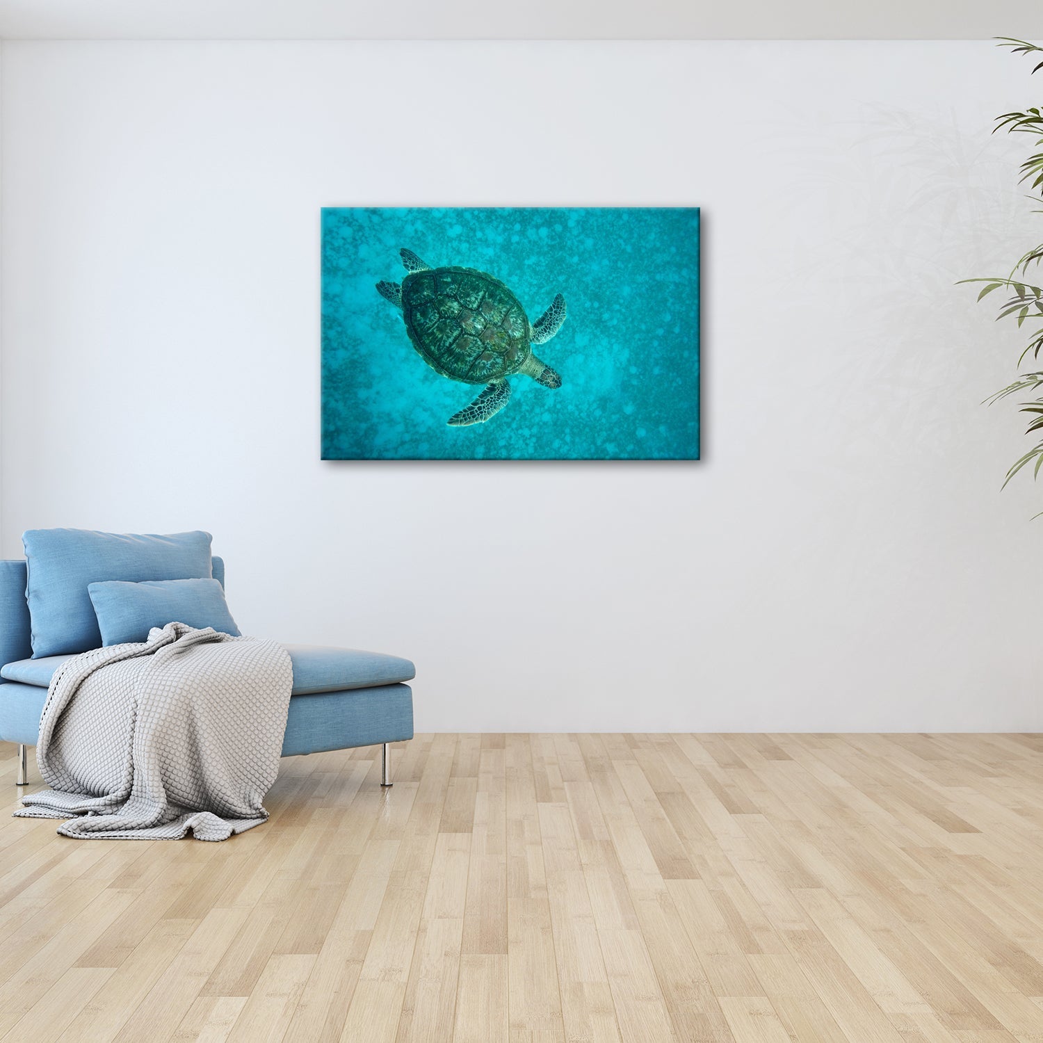 Leinwandbild Schwebend gleitet sie durch die Tiefe des blauen Ozeans. - deyoli