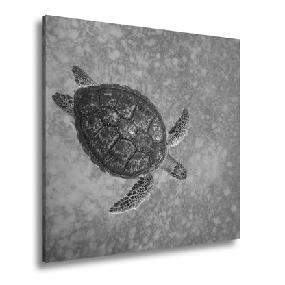 Leinwandbild Schwebend gleitet sie durch die Tiefe des blauen Ozeans. - deyoli