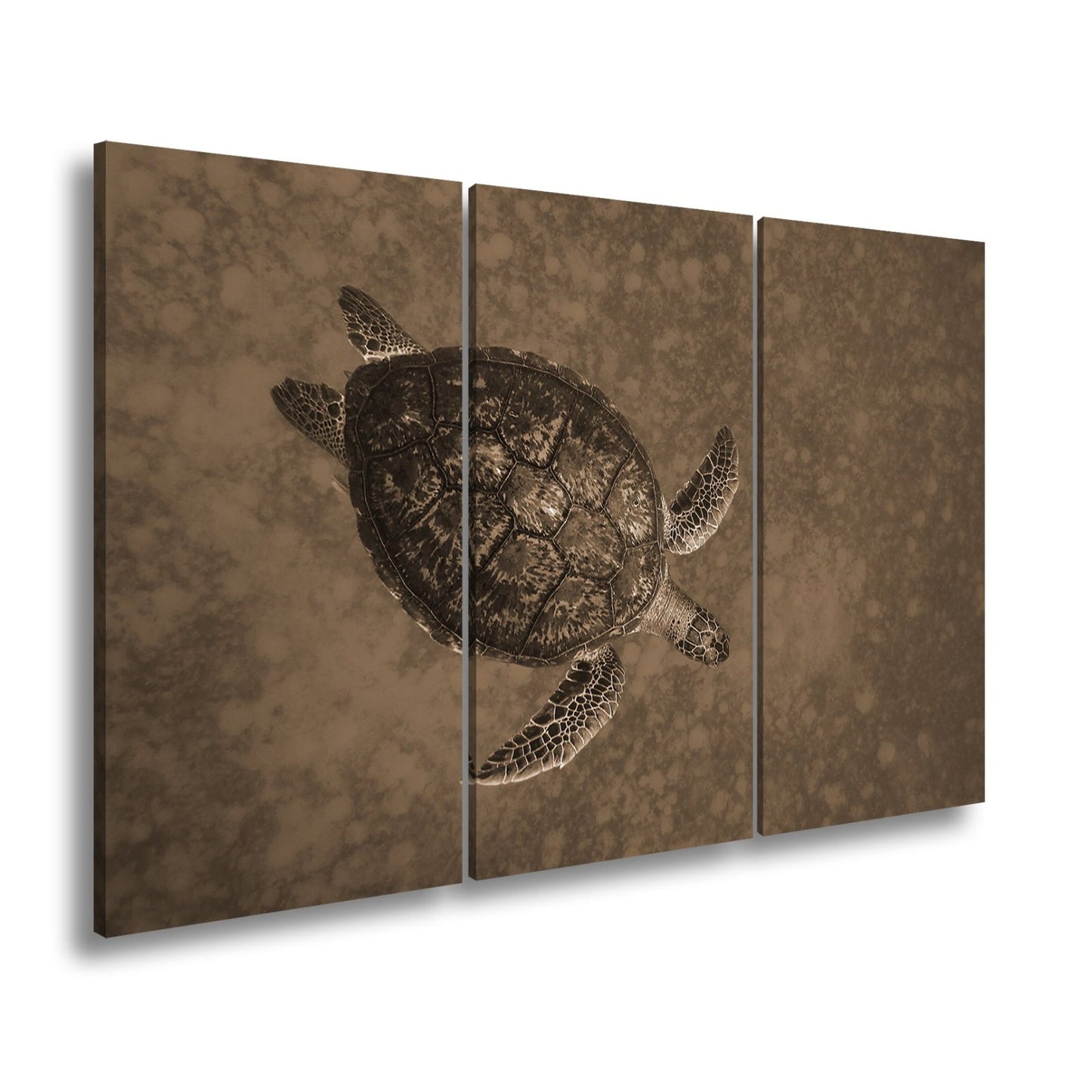 Leinwandbild Schwebend gleitet sie durch die Tiefe des blauen Ozeans. - deyoli