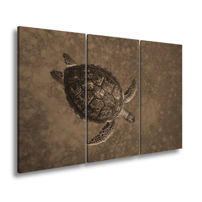 Leinwandbild Schwebend gleitet sie durch die Tiefe des blauen Ozeans. - deyoli