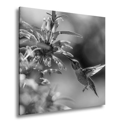 Leinwandbild Schwebend zart – Kolibri küsst Blüte im Sonnenlicht - deyoli