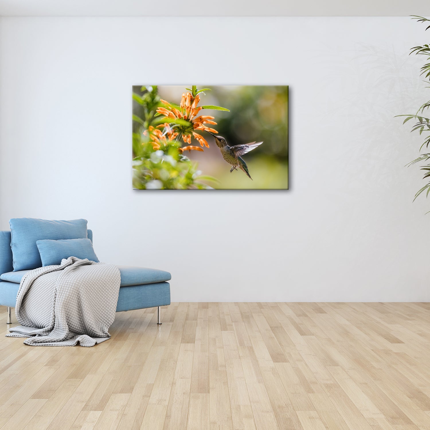 Leinwandbild Schwebend zart – Kolibri küsst Blüte im Sonnenlicht - deyoli