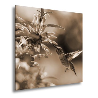 Leinwandbild Schwebend zart – Kolibri küsst Blüte im Sonnenlicht - deyoli