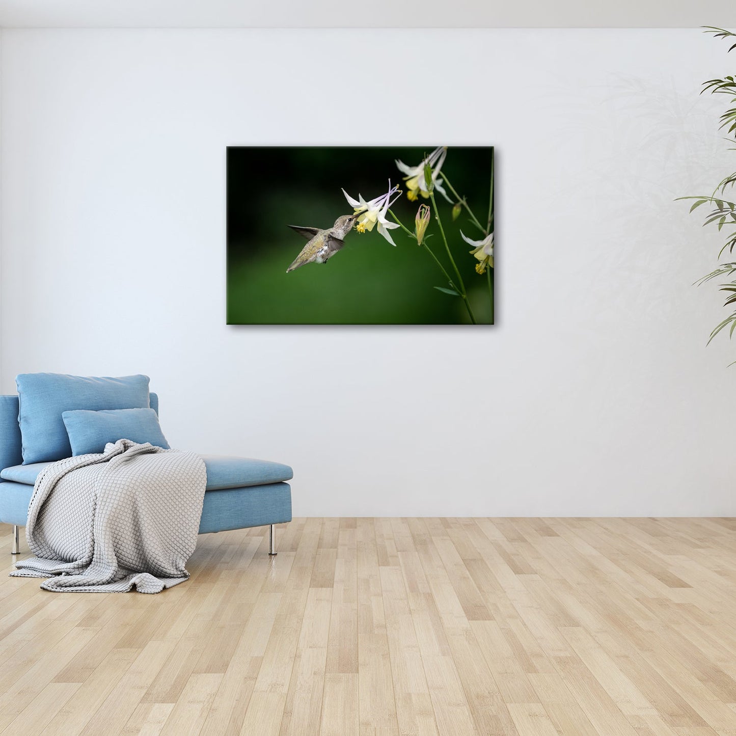Leinwandbild Schwebend zart – Kolibri küsst eine elfenhafte Blüte - deyoli
