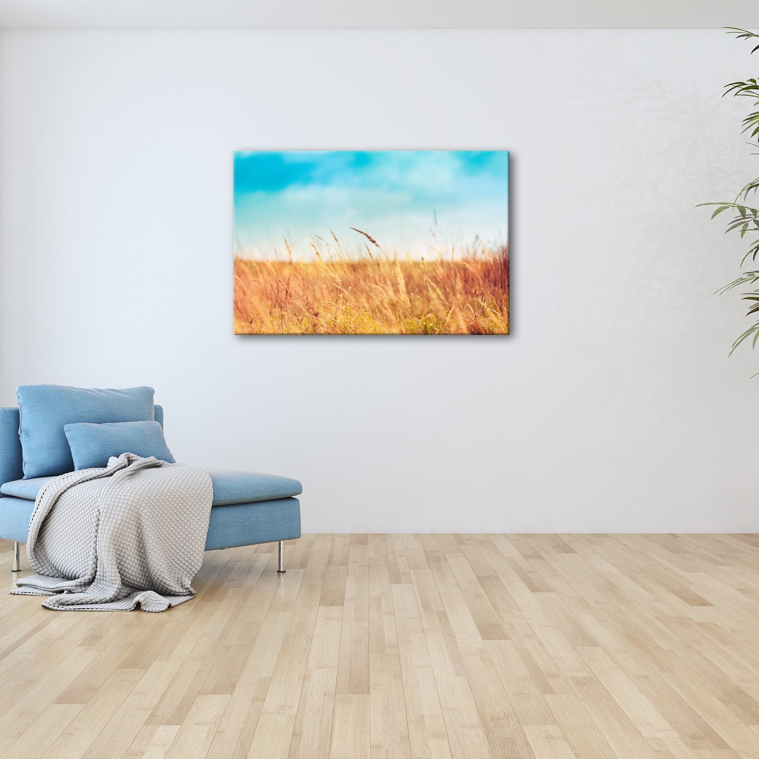 Leinwandbild Sommerwiese im warmen Lichtspiel - deyoli