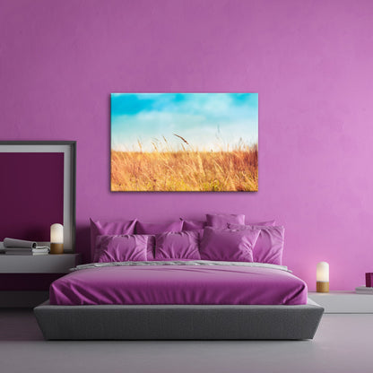 Leinwandbild Sommerwiese im warmen Lichtspiel - deyoli