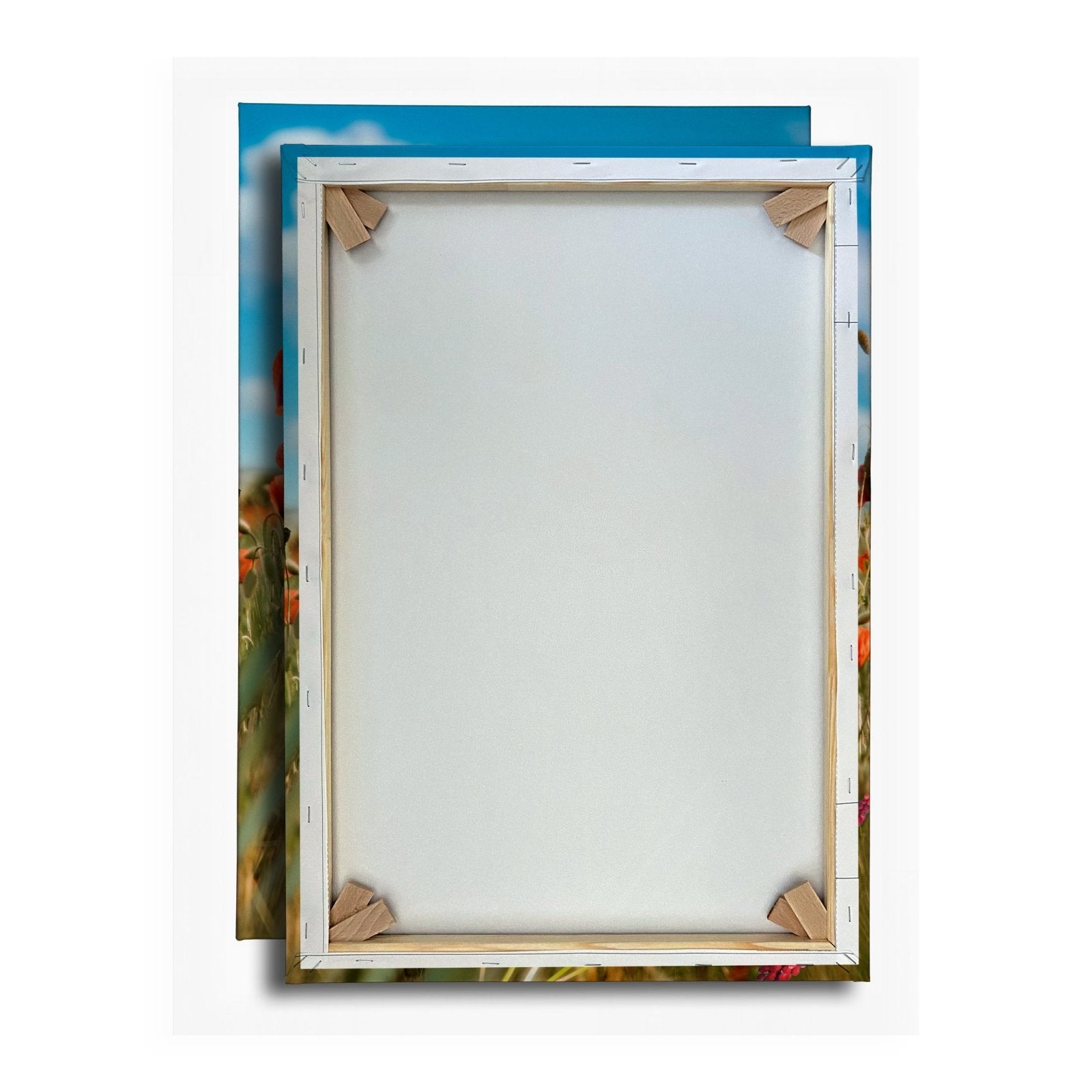 Leinwandbild Sommerwiese tanzt im Wind mit Schmetterlingskuss. - deyoli