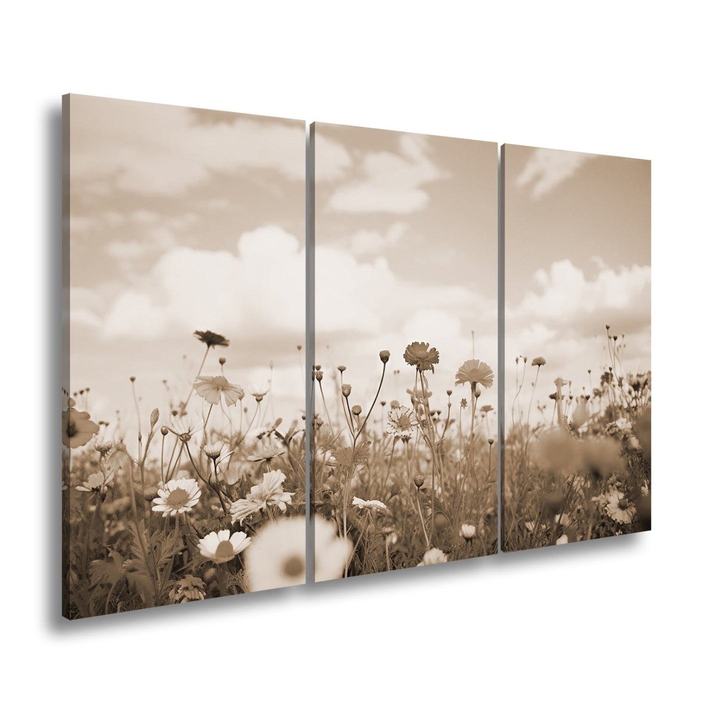 Leinwandbild Sommerwiese tanzt unter Wolken im goldenen Licht. - deyoli