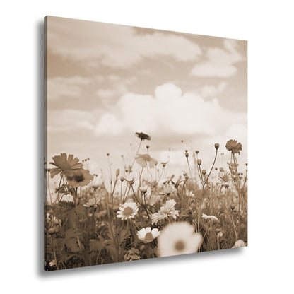 Leinwandbild Sommerwiese tanzt unter Wolken im goldenen Licht. - deyoli