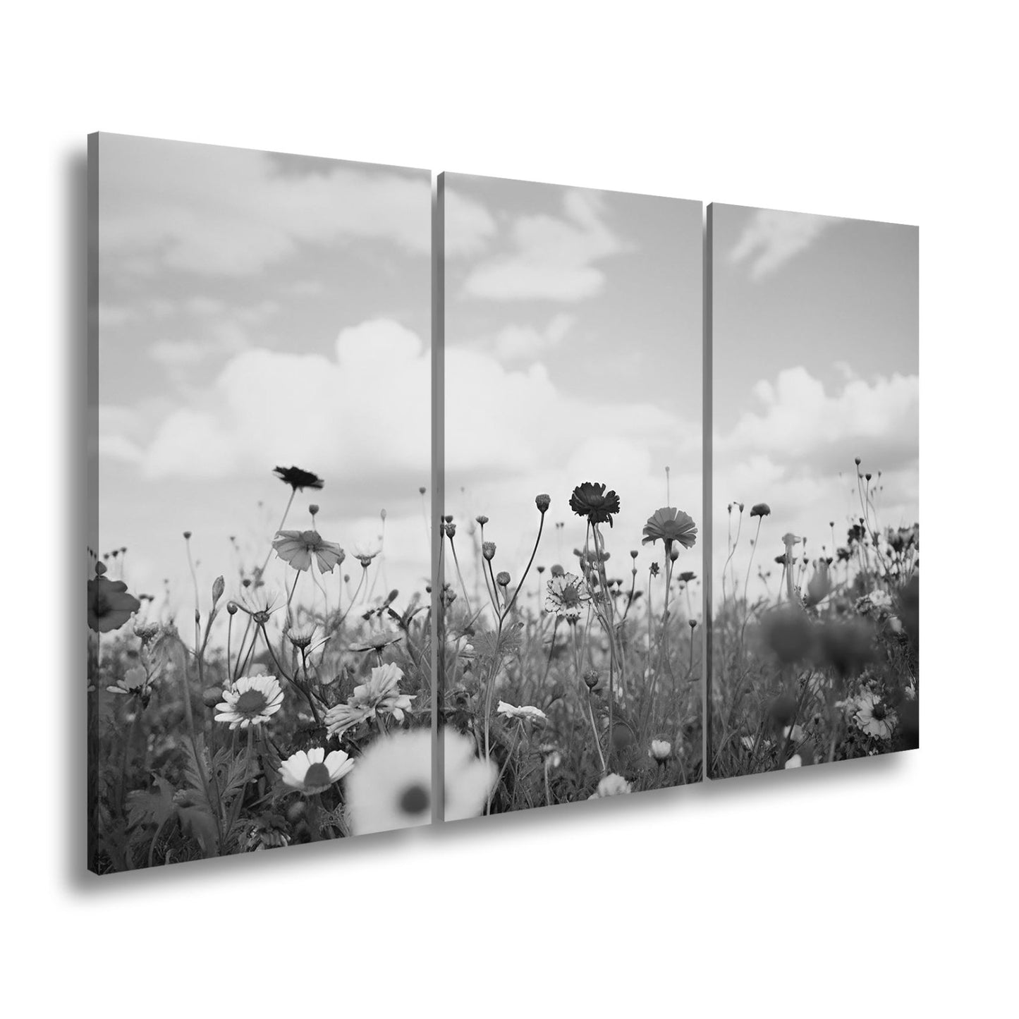 Leinwandbild Sommerwiese tanzt unter Wolken im goldenen Licht. - deyoli