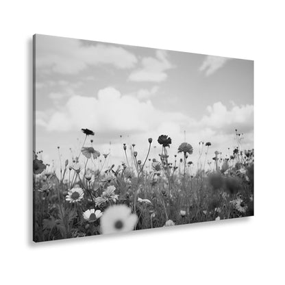Leinwandbild Sommerwiese tanzt unter Wolken im goldenen Licht. - deyoli