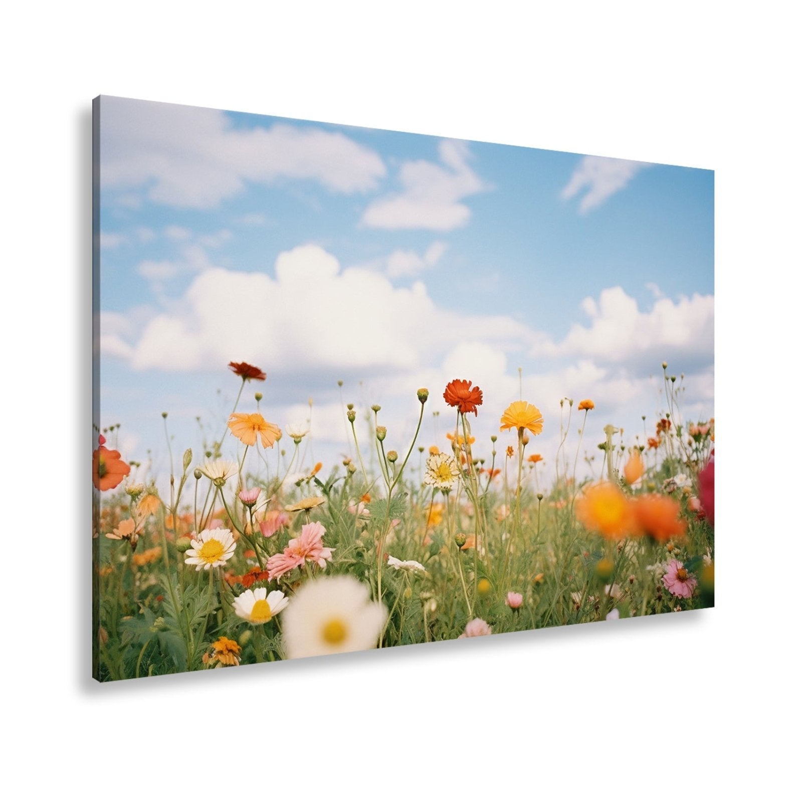 Leinwandbild Sommerwiese tanzt unter Wolken im goldenen Licht. - deyoli