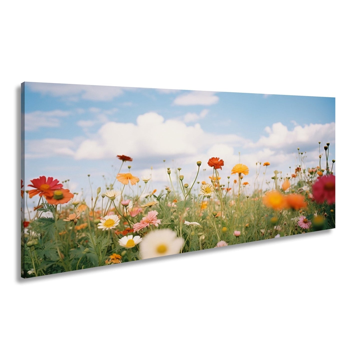 Leinwandbild Sommerwiese tanzt unter Wolken im goldenen Licht. - deyoli