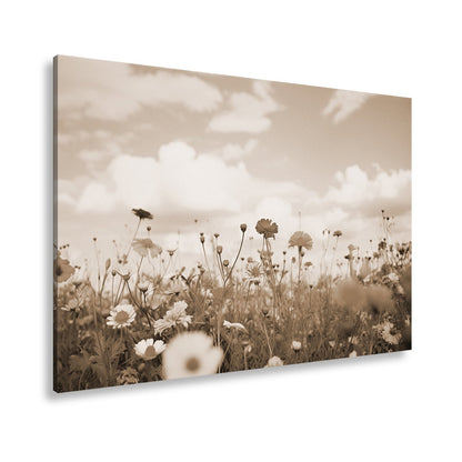 Leinwandbild Sommerwiese tanzt unter Wolken im goldenen Licht. - deyoli