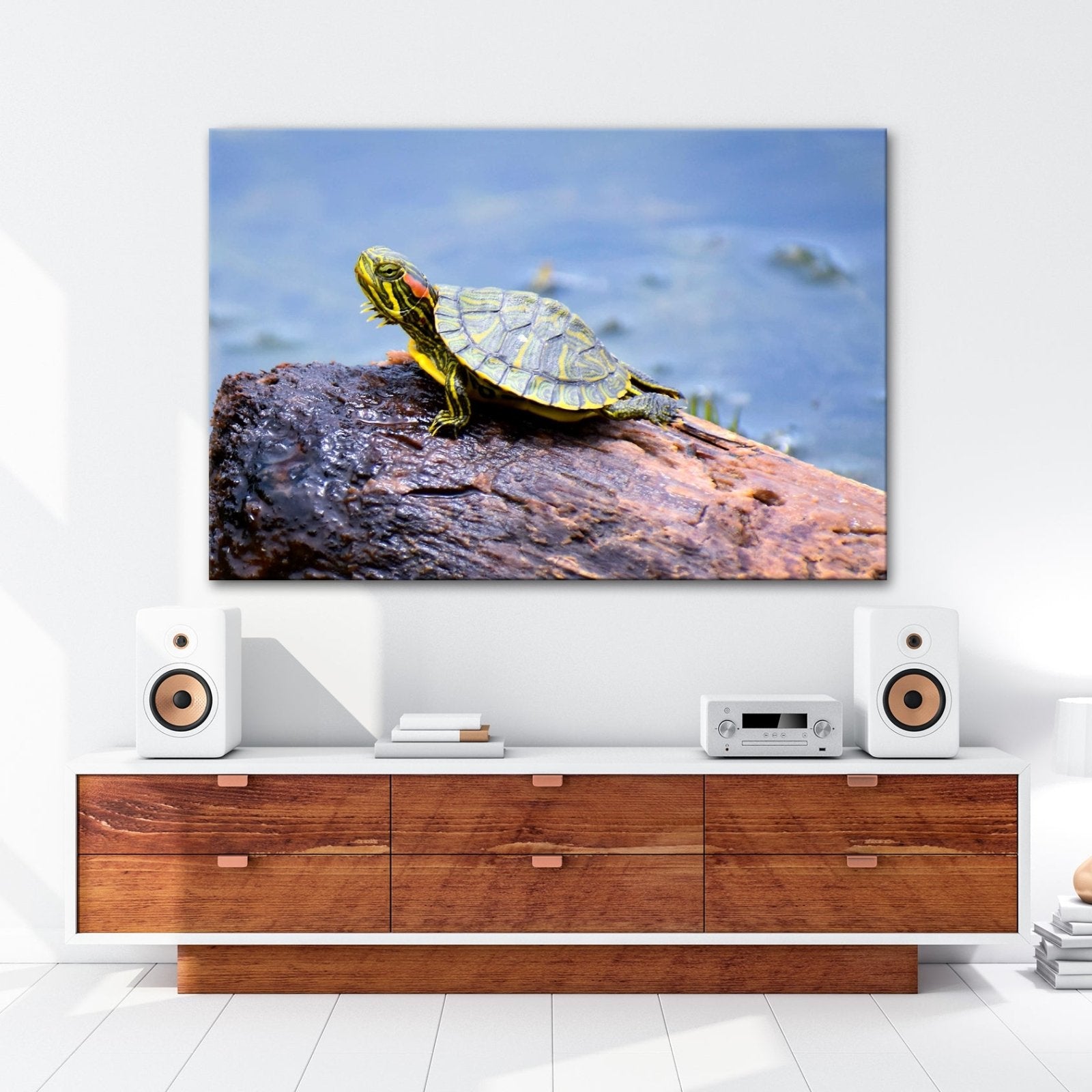 Leinwandbild Sonnenbad am Wasser – Schildkröte auf stiller Bühne. - deyoli