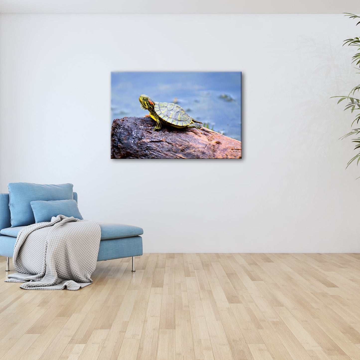 Leinwandbild Sonnenbad am Wasser – Schildkröte auf stiller Bühne. - deyoli