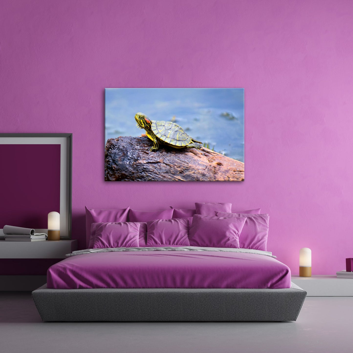 Leinwandbild Sonnenbad am Wasser – Schildkröte auf stiller Bühne. - deyoli