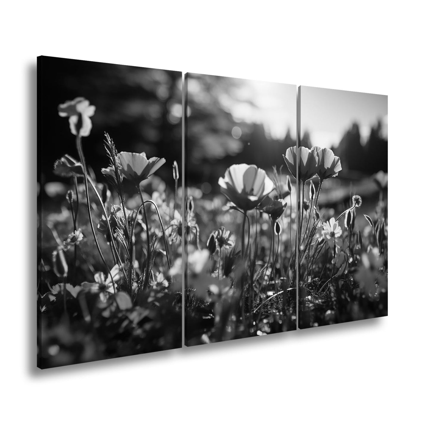 Leinwandbild Sonnenstrahlen fluten ein Meer aus leuchtenden Blüten. - deyoli