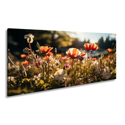 Leinwandbild Sonnenstrahlen fluten ein Meer aus leuchtenden Blüten. - deyoli