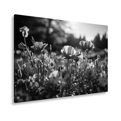 Leinwandbild Sonnenstrahlen fluten ein Meer aus leuchtenden Blüten. - deyoli