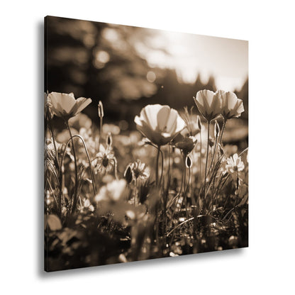 Leinwandbild Sonnenstrahlen fluten ein Meer aus leuchtenden Blüten. - deyoli