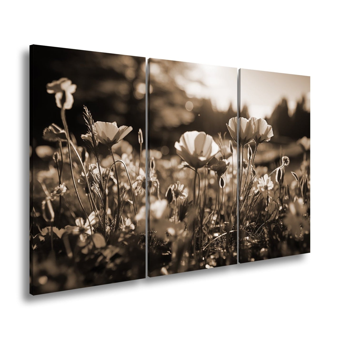 Leinwandbild Sonnenstrahlen fluten ein Meer aus leuchtenden Blüten. - deyoli