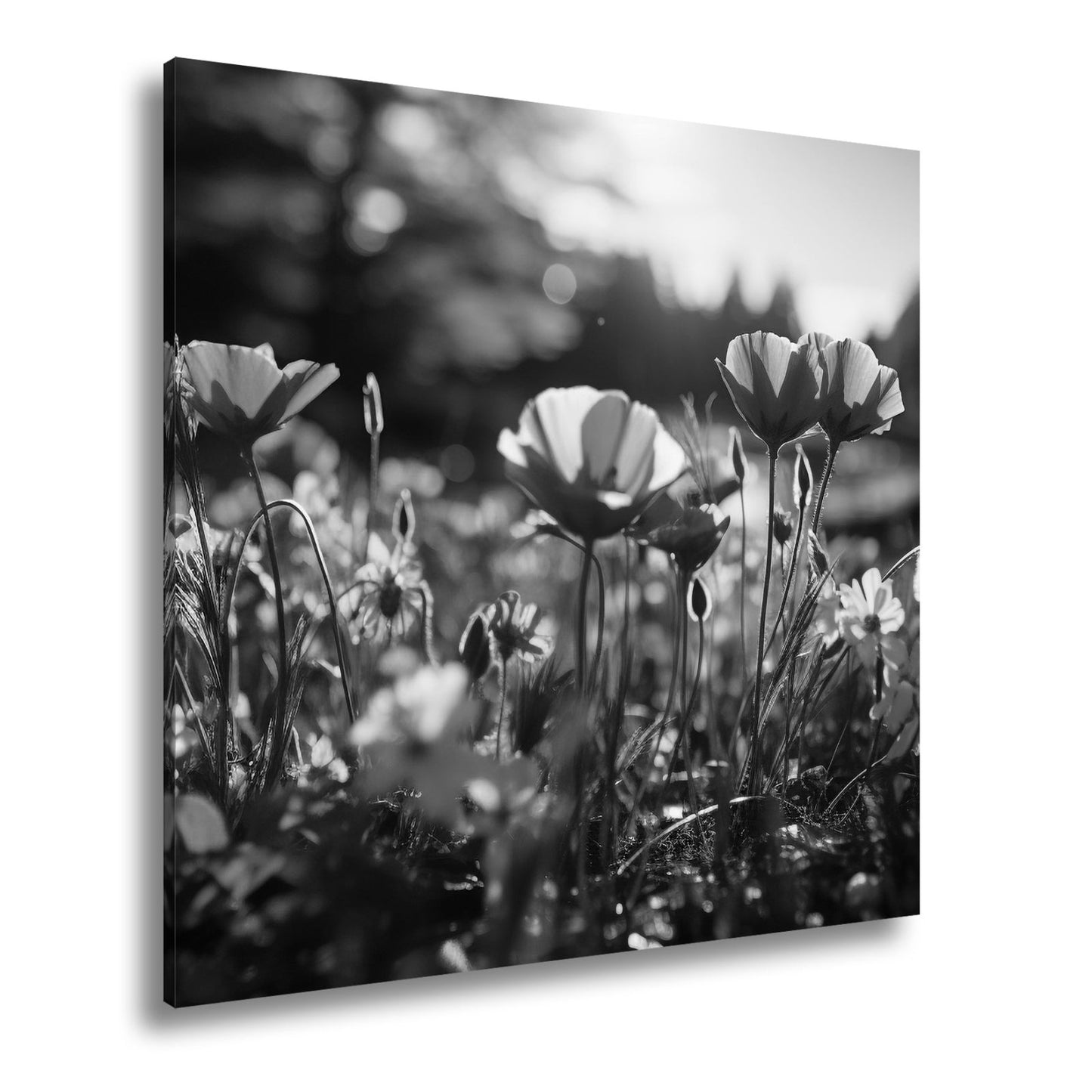 Leinwandbild Sonnenstrahlen fluten ein Meer aus leuchtenden Blüten. - deyoli