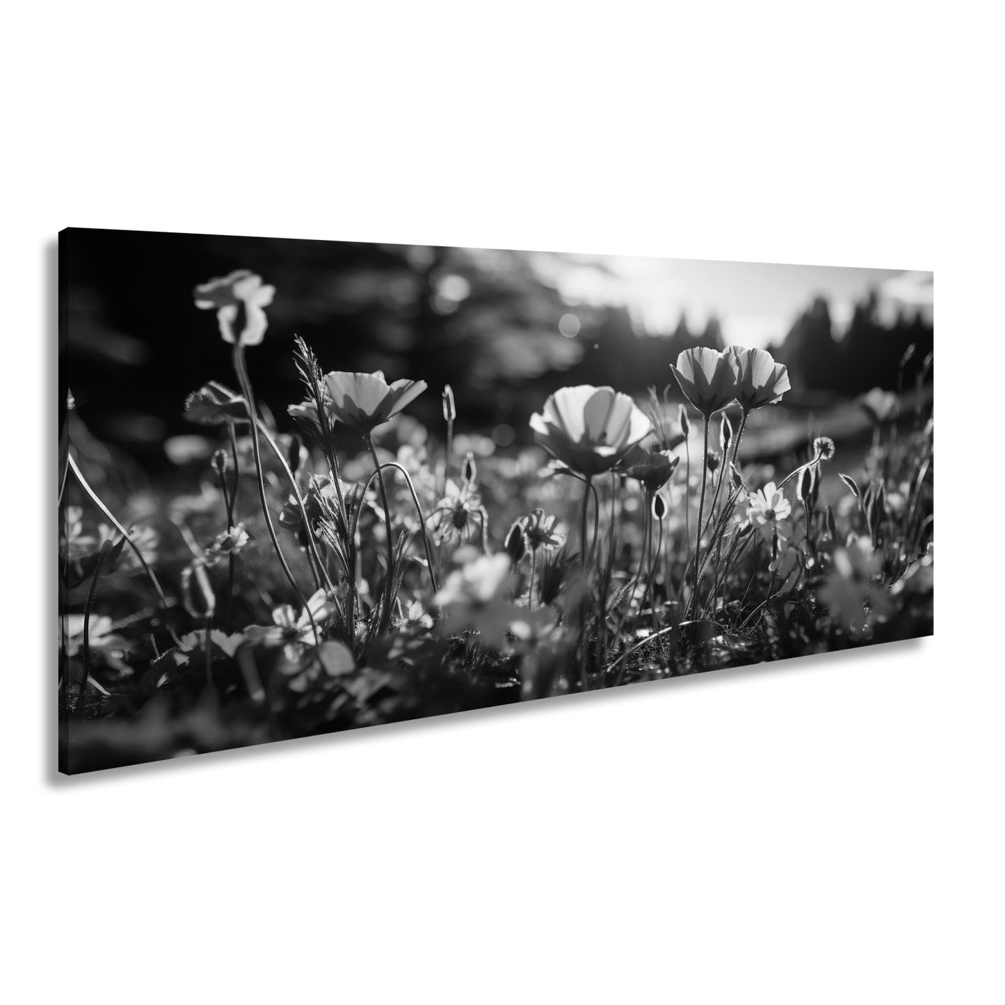 Leinwandbild Sonnenstrahlen fluten ein Meer aus leuchtenden Blüten. - deyoli