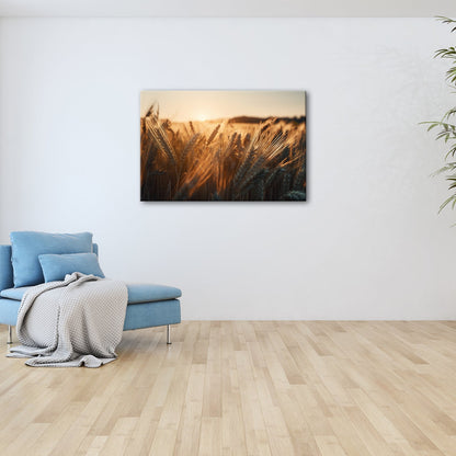Leinwandbild Sonnenstrahlen im Ährenmeer – Goldenes Getreidefeld XXL - deyoli