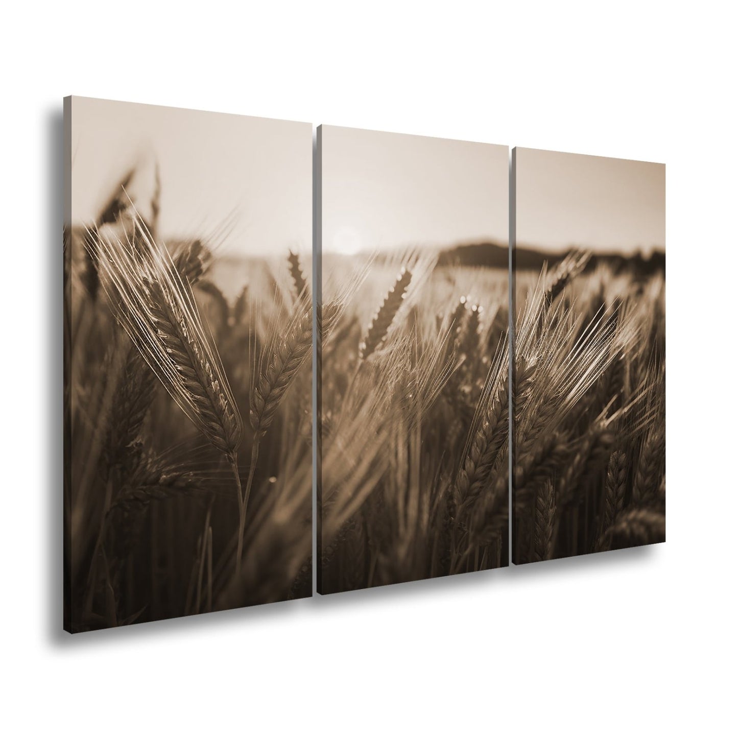 Leinwandbild Sonnenstrahlen im Ährenmeer – Goldenes Getreidefeld XXL - deyoli
