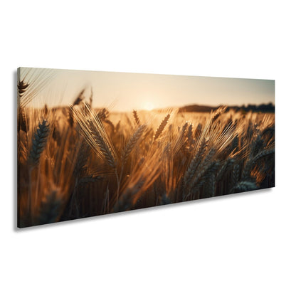 Leinwandbild Sonnenstrahlen im Ährenmeer – Goldenes Getreidefeld XXL - deyoli