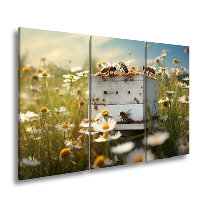 Leinwandbild Sonnentanz über dem Bienenhaus im Blütenmeer - deyoli