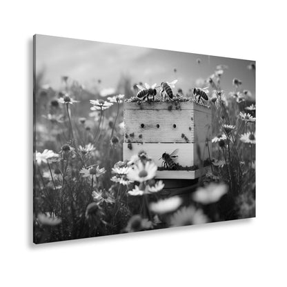 Leinwandbild Sonnentanz über dem Bienenhaus im Blütenmeer - deyoli