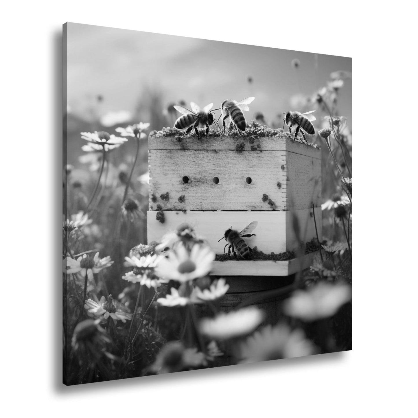 Leinwandbild Sonnentanz über dem Bienenhaus im Blütenmeer - deyoli