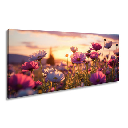 Leinwandbild Sonnenuntergang küsst ein Meer aus zarten Kosmeen. - deyoli
