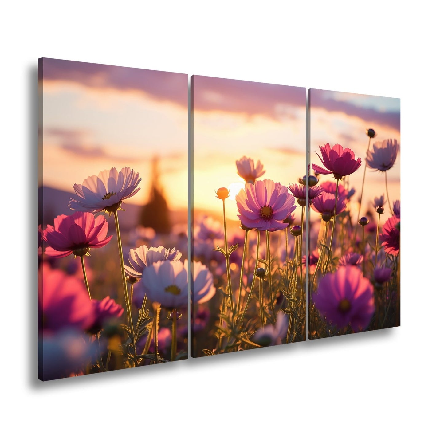 Leinwandbild Sonnenuntergang küsst ein Meer aus zarten Kosmeen. - deyoli