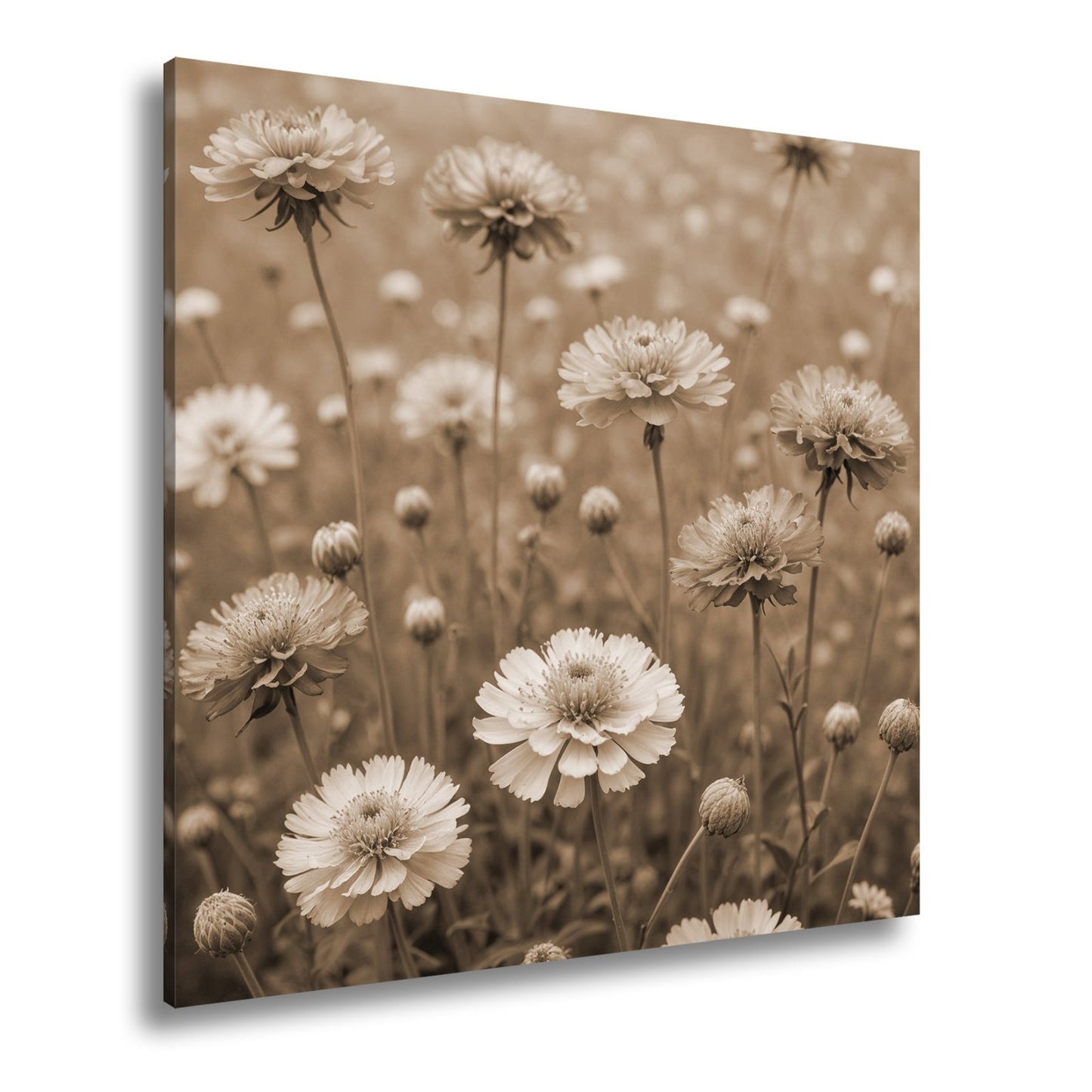 Leinwandbild Sonnige Wiesenblüten flüstern vom Sommer im Wind. - deyoli