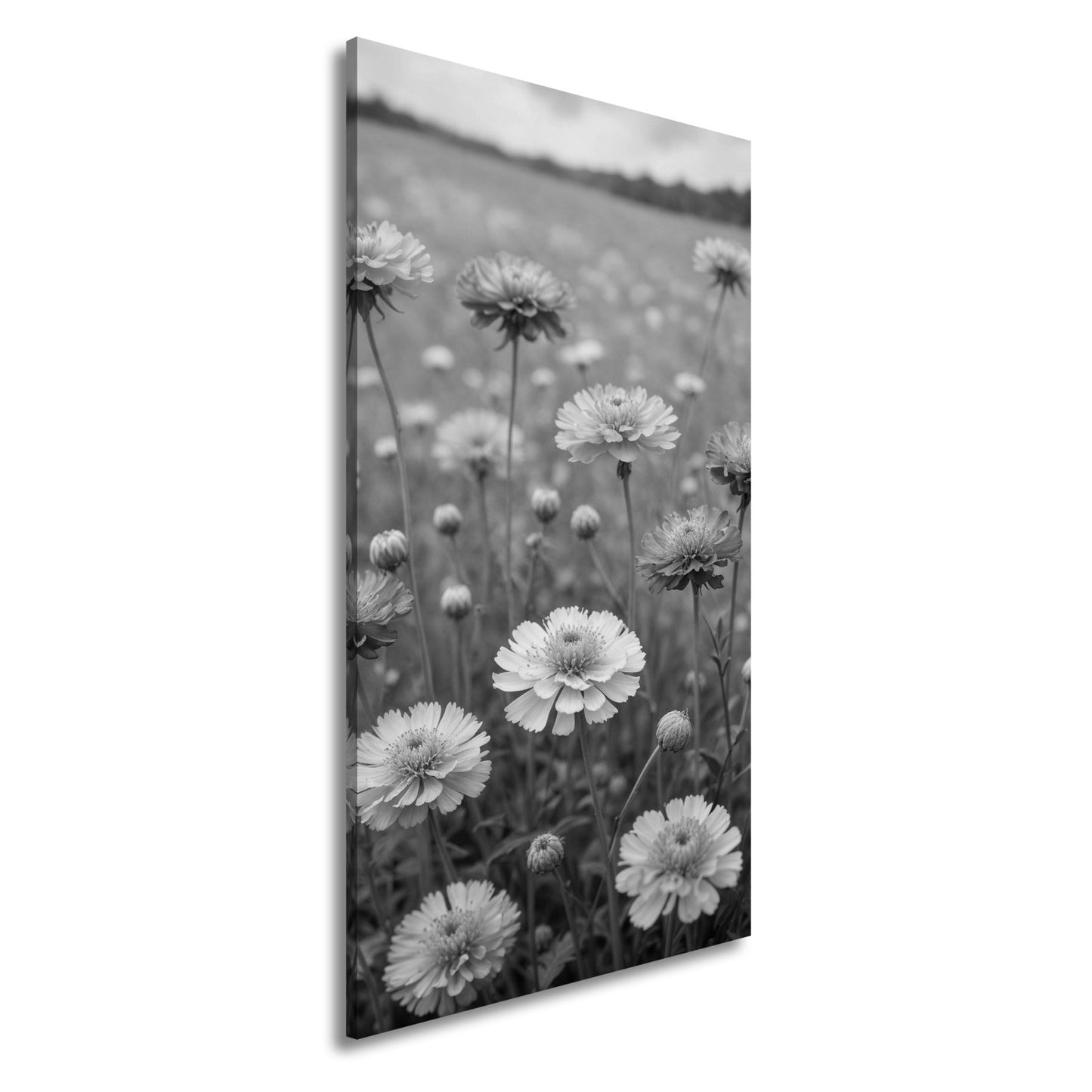 Leinwandbild Sonnige Wiesenblüten flüstern vom Sommer im Wind. - deyoli