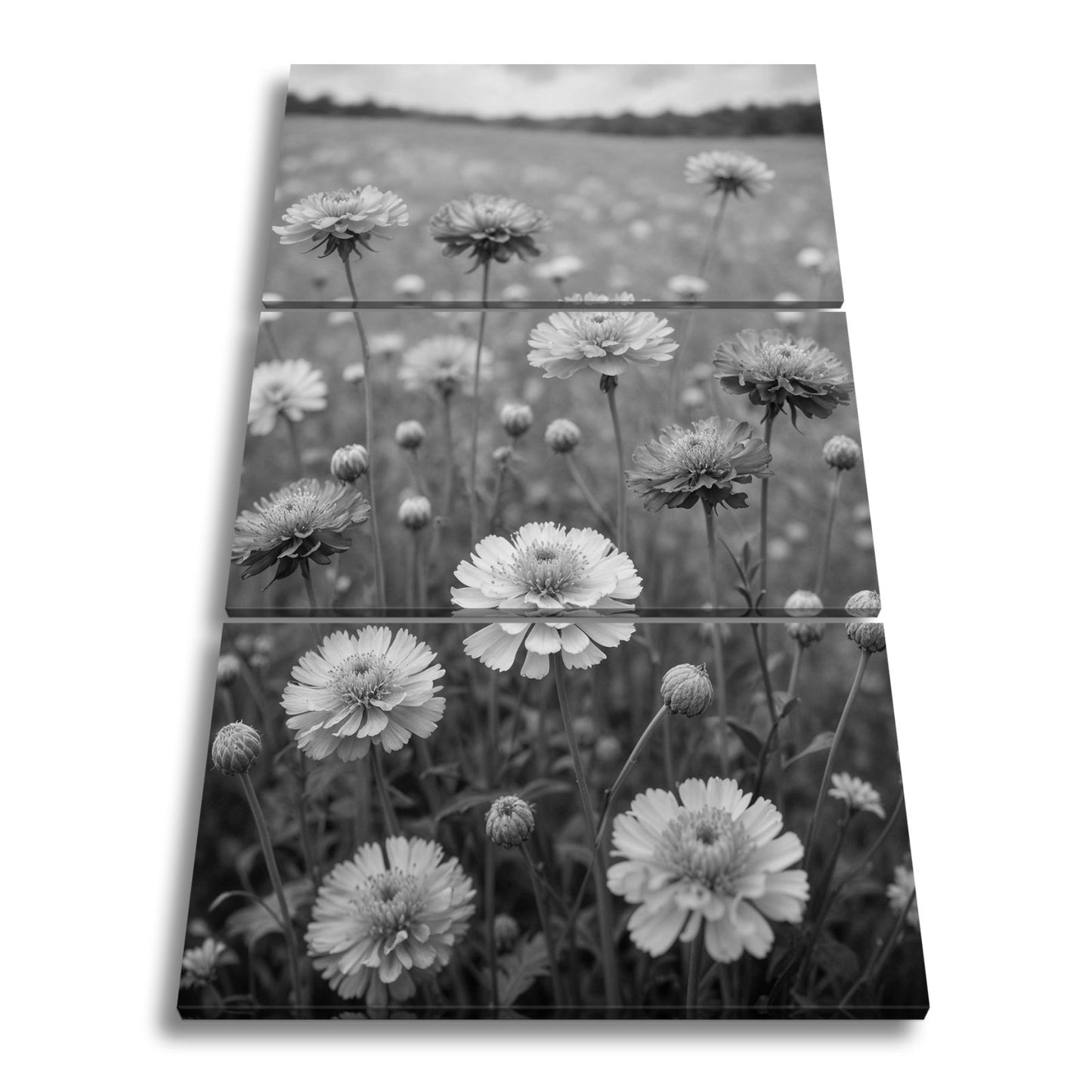 Leinwandbild Sonnige Wiesenblüten flüstern vom Sommer im Wind. - deyoli