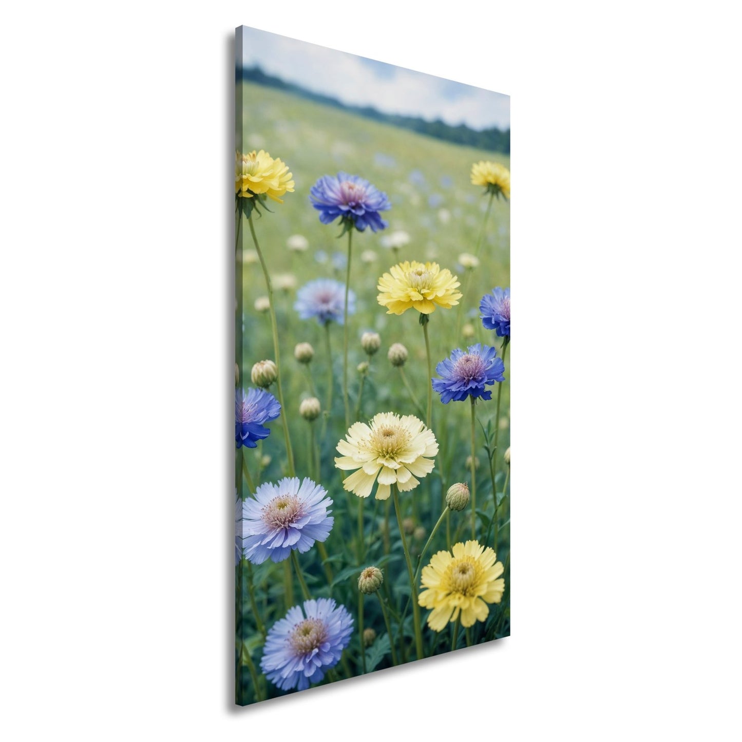 Leinwandbild Sonnige Wiesenblüten flüstern vom Sommer im Wind. - deyoli