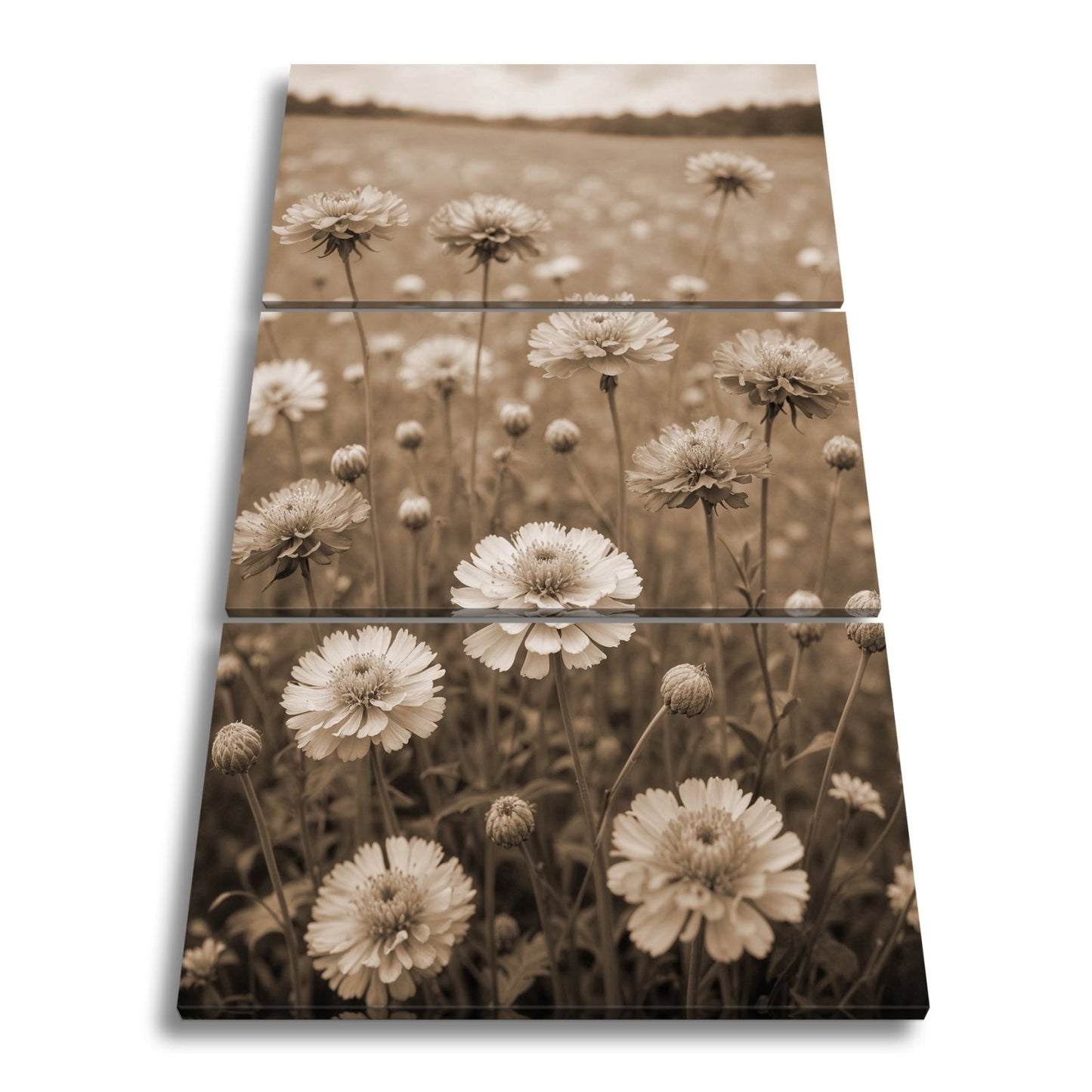 Leinwandbild Sonnige Wiesenblüten flüstern vom Sommer im Wind. - deyoli
