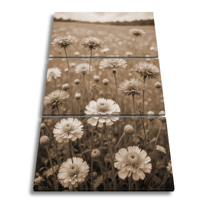 Leinwandbild Sonnige Wiesenblüten flüstern vom Sommer im Wind. - deyoli
